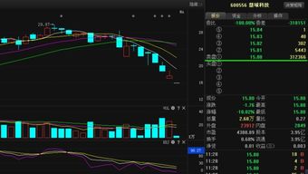慧球科技 事出反常必有妖，計算機軟硬件銷售及技術開發的警示與思考